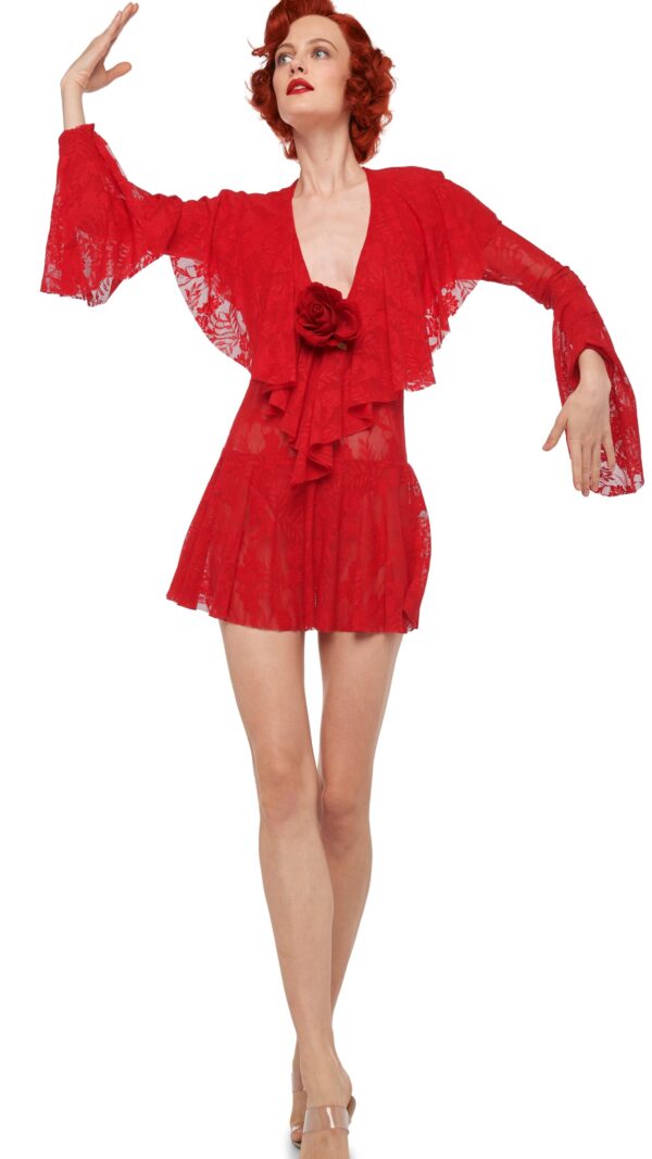 LONG SLEEVE DEEP V RUFFLE MINI DRESS - Image 4