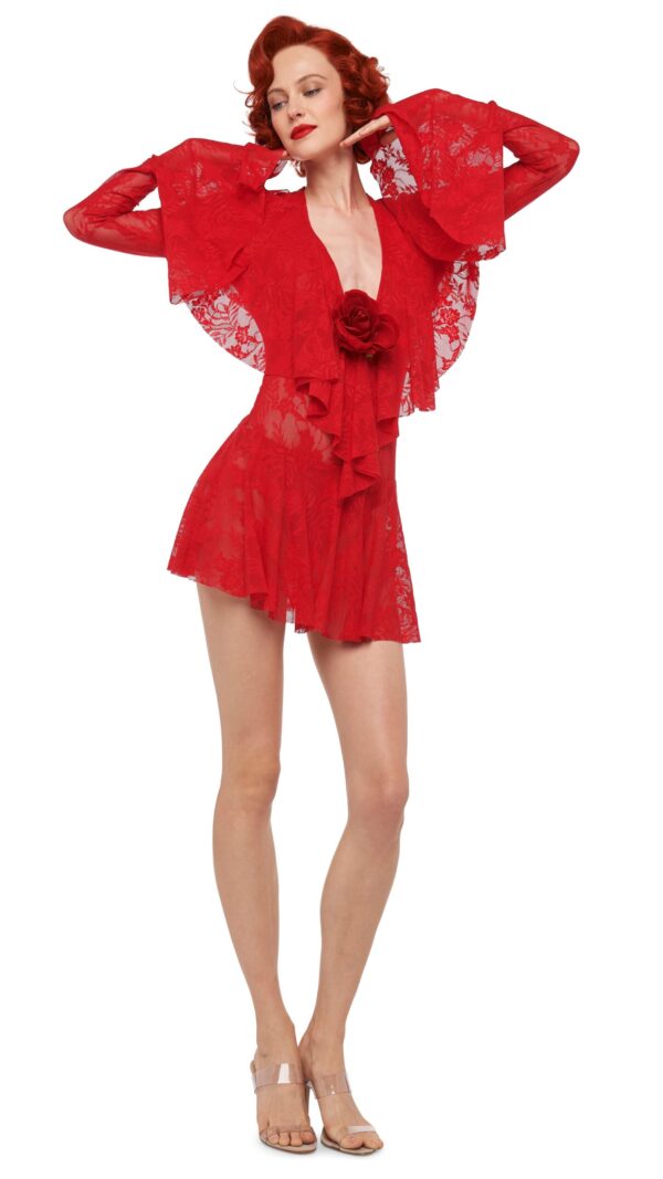 LONG SLEEVE DEEP V RUFFLE MINI DRESS - Image 6
